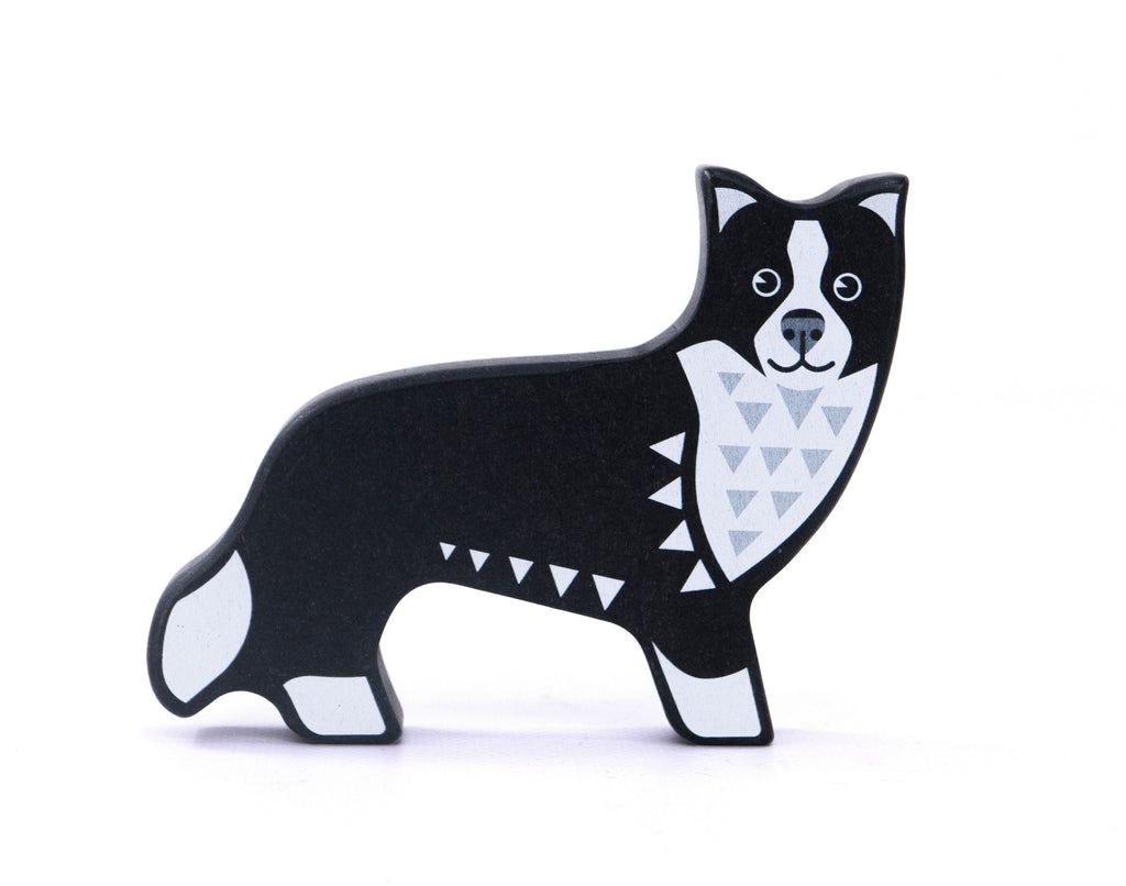 Seria pieski - Border Collie