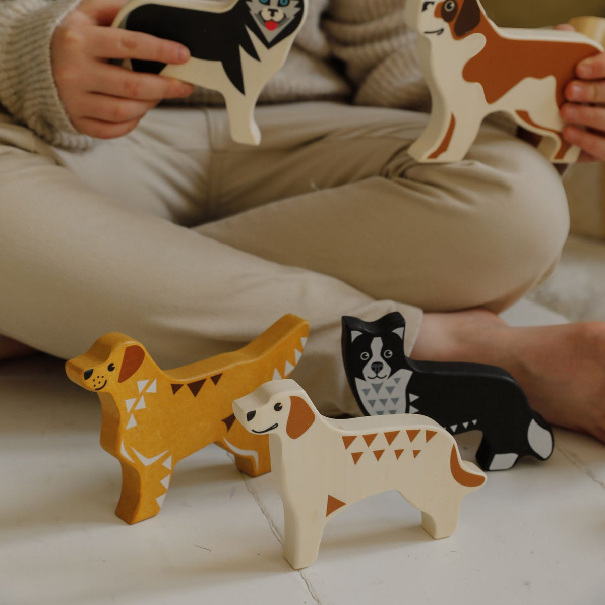 Seria pieski - Border Collie