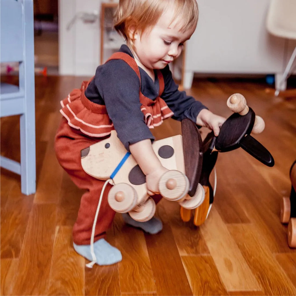 Wooden dog on wheels (wags its tail)